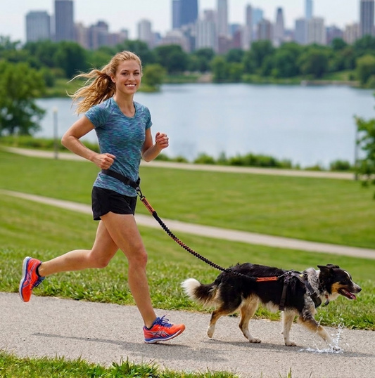 Hands-Free Dog Leash