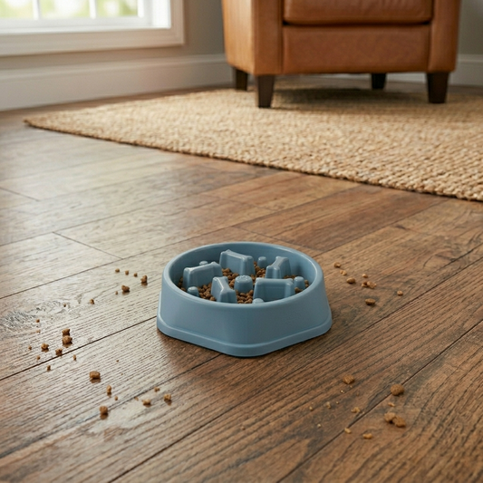 Slow Feeder Bowl