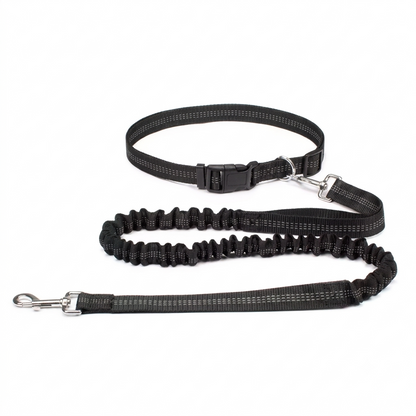 Black dog leash and collar set on a white background