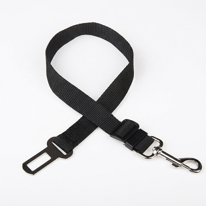 Black dog leash with clip on a white background